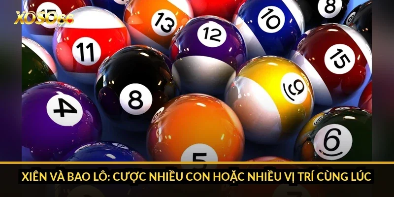 Xiên và bao lô: cược nhiều con hoặc nhiều vị trí cùng lúc