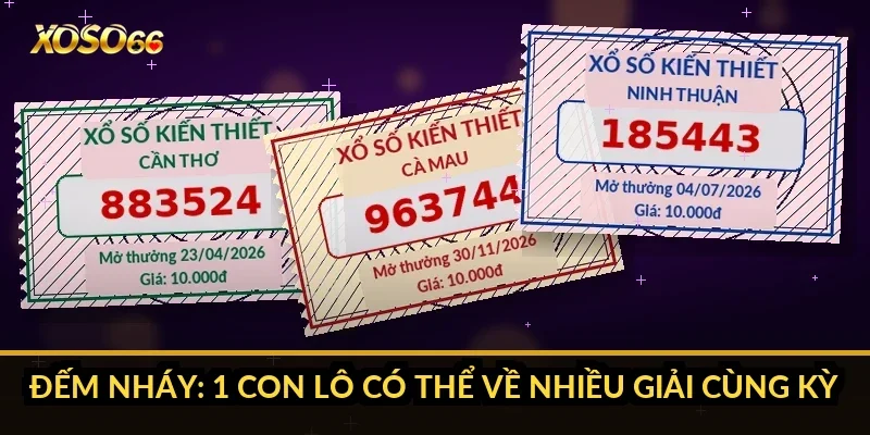 Đếm nháy: 1 con lô có thể về nhiều giải cùng kỳ