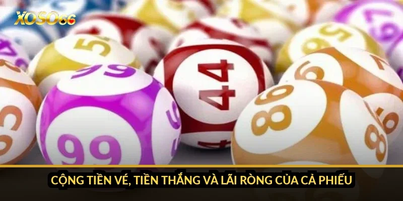 Cộng tiền vé, tiền thắng và lãi ròng của cả phiếu